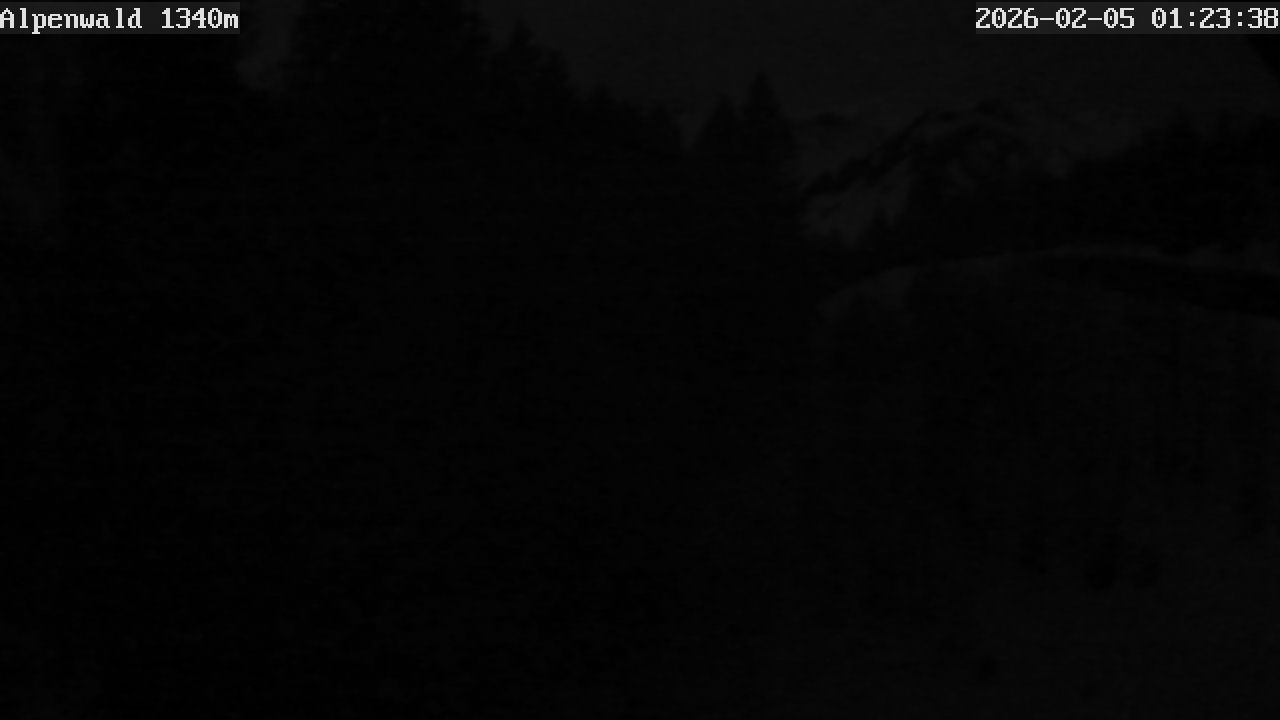 Image: Gasthof Alpenwald